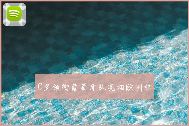 C罗领衔葡萄牙队亮相欧洲杯