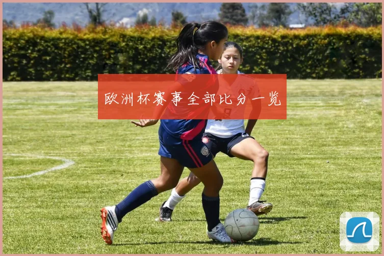 欧洲杯赛事全部比分一览