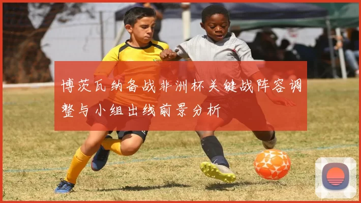 博茨瓦纳备战非洲杯关键战阵容调整与小组出线前景分析